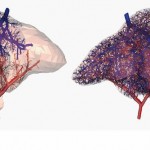 Researchers Now Able To 3D Print Working Blood Vessels